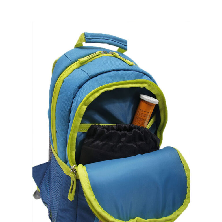 Coleman 10L Cool Backpack blue
