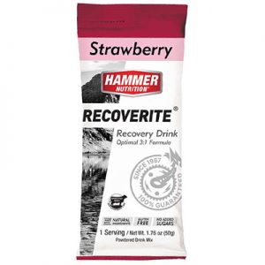 Hammer Nutrition Recoverite Strawberry