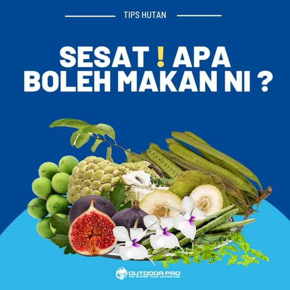 SESAT? NAK MAKAN APA?